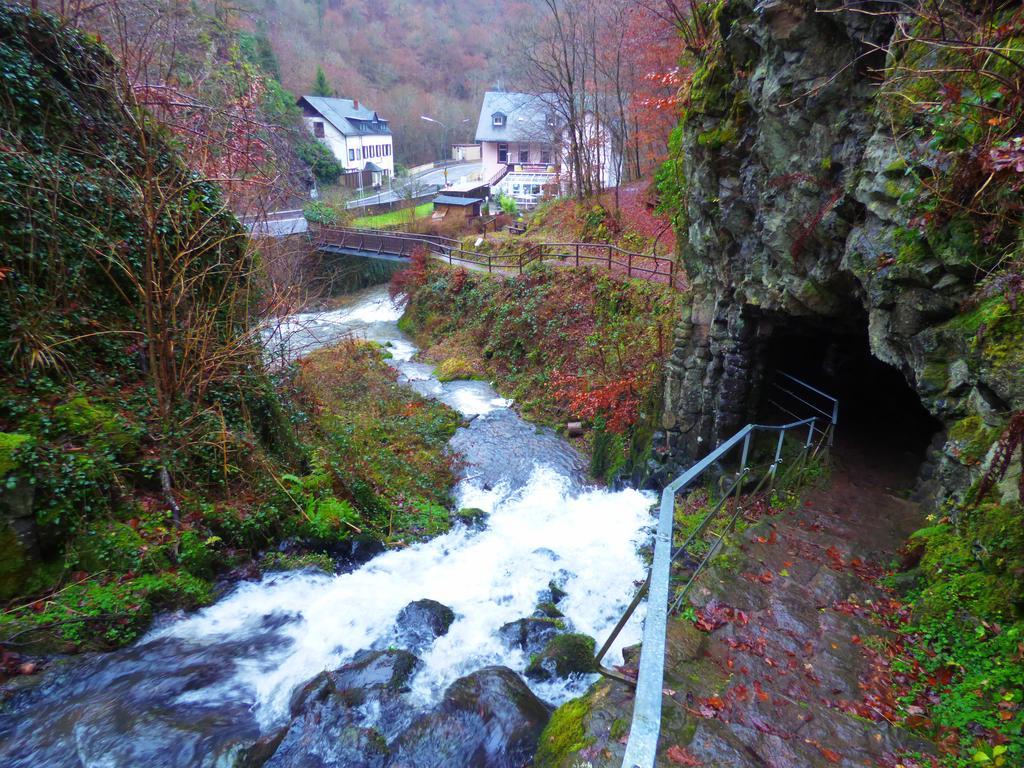 Ferienwohnungen Schenk Schmitz Bad Bertrich Extérieur photo
