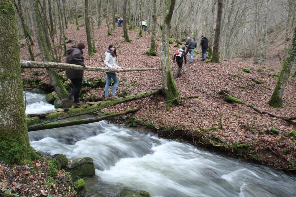 Ferienwohnungen Schenk Schmitz Bad Bertrich Extérieur photo