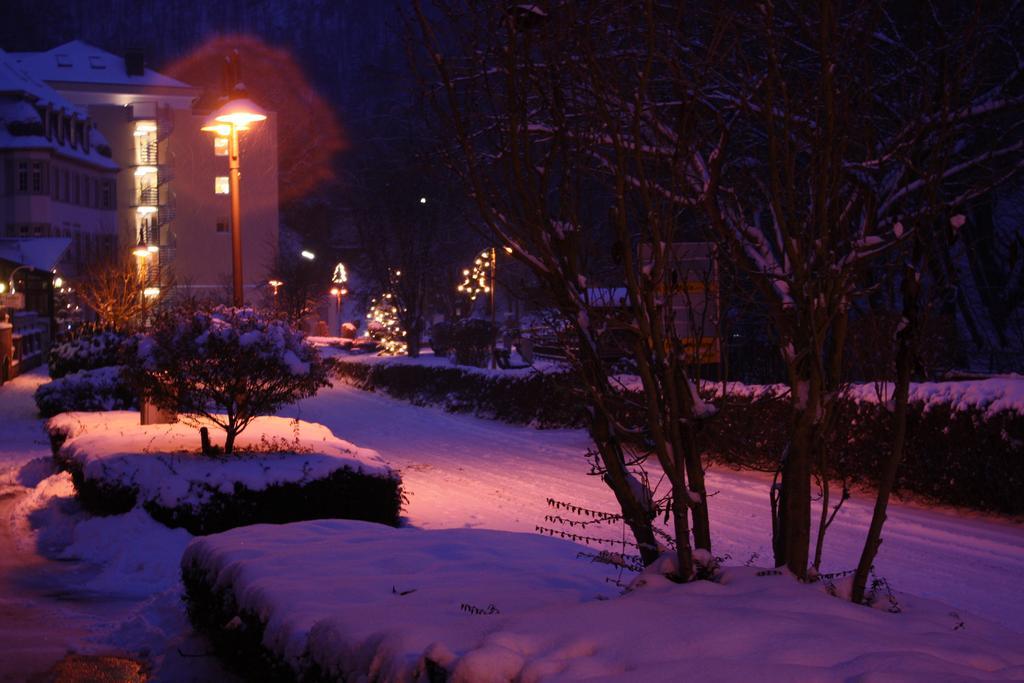 Ferienwohnungen Schenk Schmitz Bad Bertrich Extérieur photo