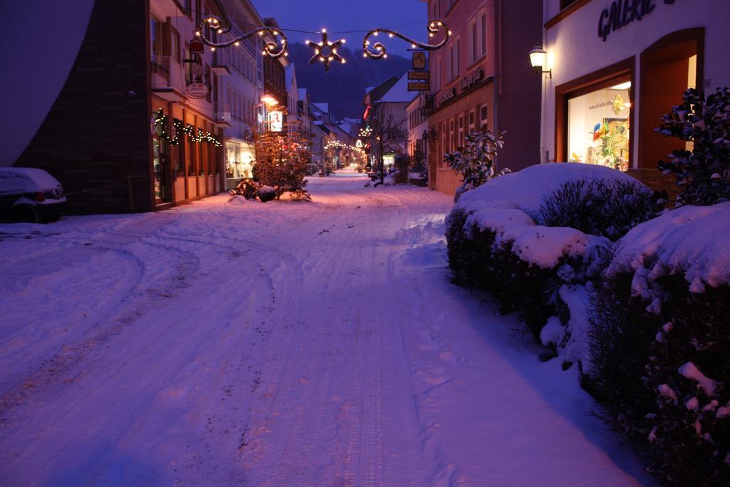 Ferienwohnungen Schenk Schmitz Bad Bertrich Extérieur photo